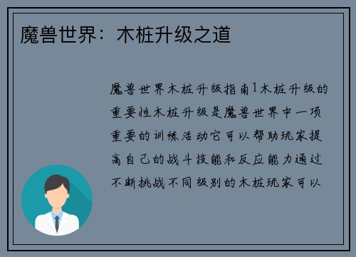 魔兽世界：木桩升级之道
